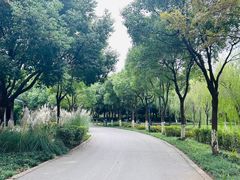 -贡湖湾湿地公园