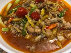 -杨氏青龙虾·羊蝎子(托乐嘉店)