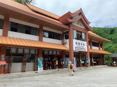 -西双版纳原始森林公园