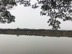 -大湾区中央湿地公园