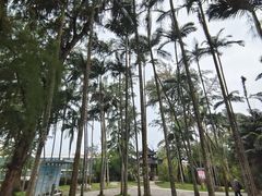 -北海市海滨公园