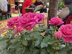 -山水茶艺馆·点心粤菜·30年老字号