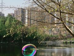 -重庆彩云湖湿地公园