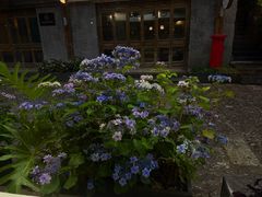 -陀岗美食·云南藏式特色餐厅