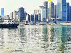 -武汉关码头(轮渡站)