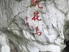 -金鸡湖桃花岛