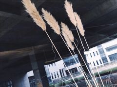 -山下C5cafe(惠通时代广场店)