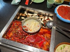 -蜀江龙火锅(339店)