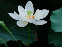 -重元寺