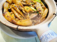 花甲啫肠粉-粤·向群饭店(龙津东路总店)