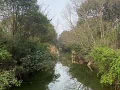 -贡湖湾湿地公园