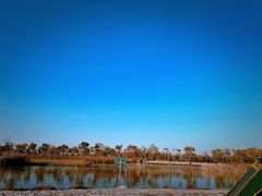 -春花秋色城市公园