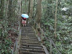 -七仙岭温泉国家森林公园