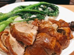 金牌烧鸭饭-裕记烧腊连锁餐饮(国商分店)