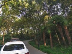 -春兰国宾馆(凤城河风景区老街店)