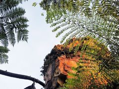 -奥兰多迪士尼动物王国乐园