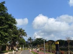 -万绿园