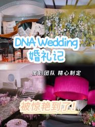 -DNA Wedding 婚礼记(上海店)