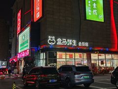 -盒马鲜生(大成店)