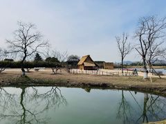 -良渚古城遗址公园