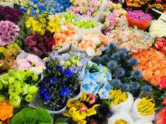 -双季花艺园艺市场(浦东店)