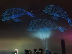 -武昌江滩