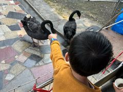 -常州花鸟园酒店(西太湖品牌优选店)