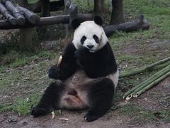 -宁波野生动物园