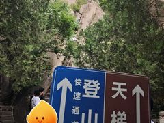-北京凤凰岭
