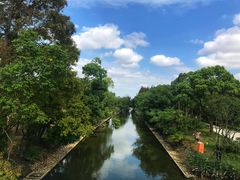 -上海长兴岛郊野公园