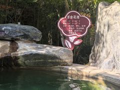 -大理地热国
