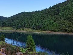 -武陵山森林公园