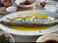 -二泉园老菜馆·百年无锡菜