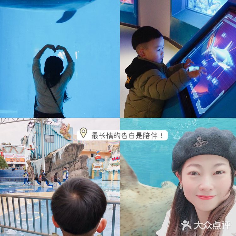 亲子｜成都海昌极地海洋公园不可错过的项目