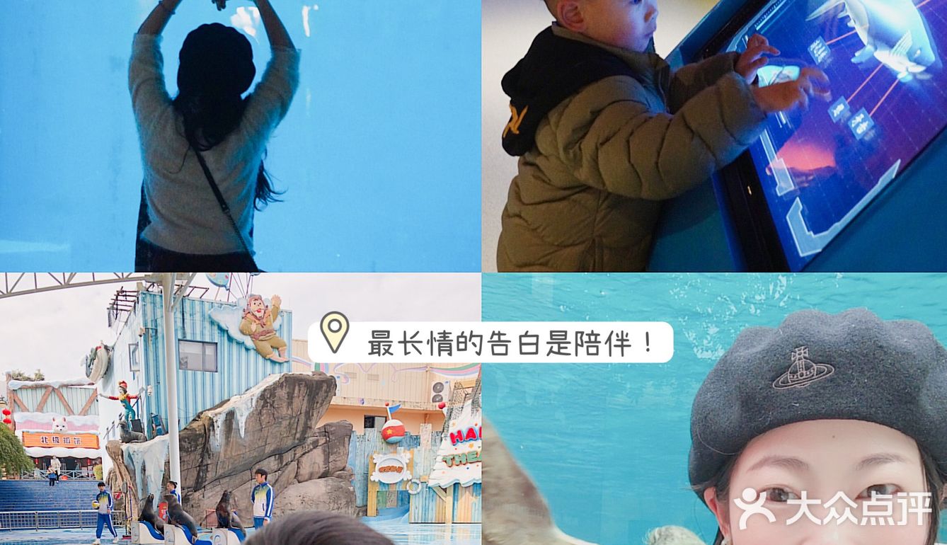 亲子｜成都海昌极地海洋公园不可错过的项目