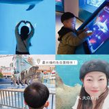 亲子｜成都海昌极地海洋公园不可错过的项目