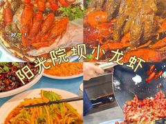 -阳光院坝小龙虾(红牌楼店)