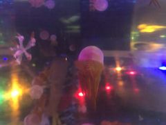 -锦艺城海洋馆
