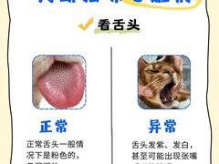 -瑞鹏宠物医院·内科·中兽医·骨科(苗圃店)