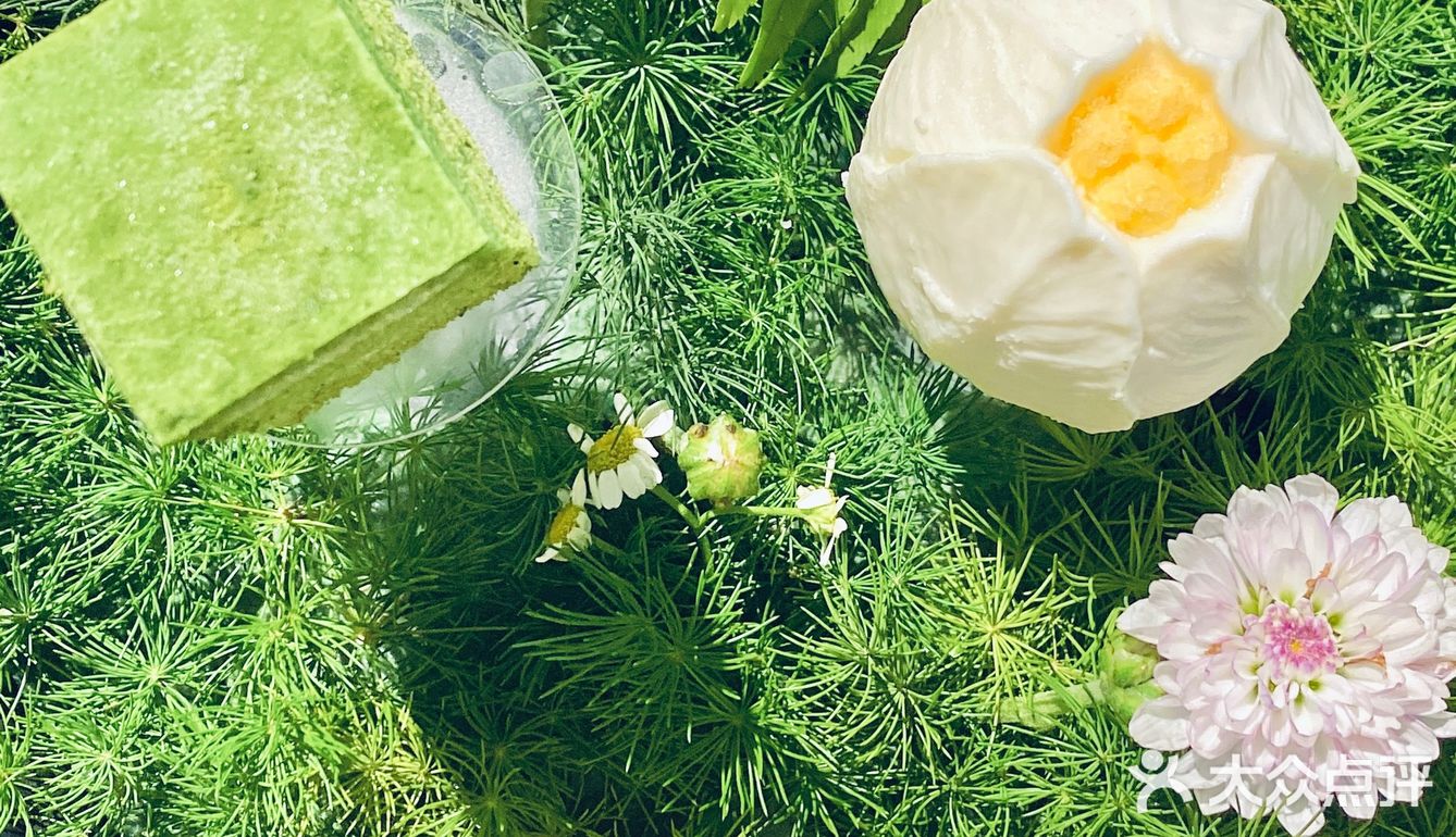 变身爱丽丝🧚‍♀️喝一次绿野仙踪的下午茶