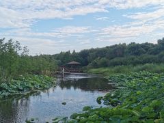-同里国家湿地公园