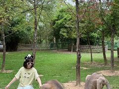 -宁波野生动物园