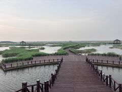 -南大港湿地风景区