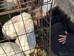 -大自然农场蔬菜草莓采摘园