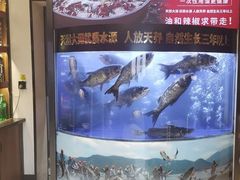 -潇湘码头·鲜湘菜(清河店)