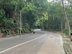 -火炉山森林公园