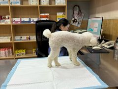 -瑞派名望24h动物医院异宠专科·猫专科·骨科·重症监护分院