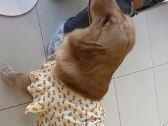 -怪兽屋·羊驼·猫咖·狗咖(俊华广场店)