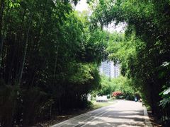 -苏州河梦清园环保主题公园