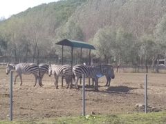 -哈尔滨北方森林动物园
